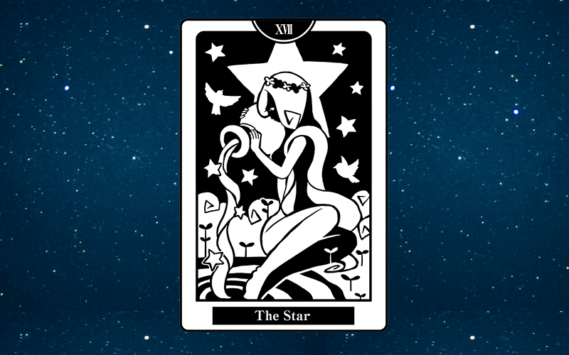 17.星